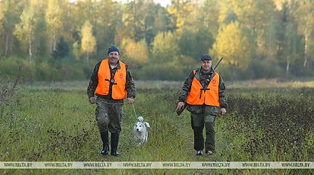 Сезон охоты на пушных животных открывается в Беларуси 2 ноября