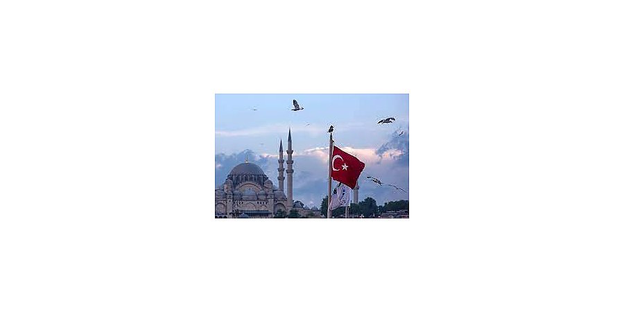 Парламент Турции возобновит рассмотрение заявки Швеции в НАТО