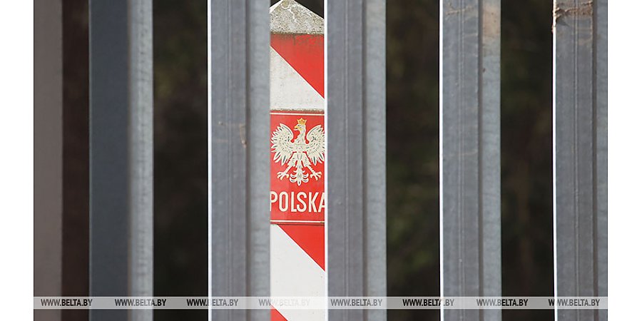ГПК: число перевозчиков беженцев в Польше и Литве утроилось после строительства заборов