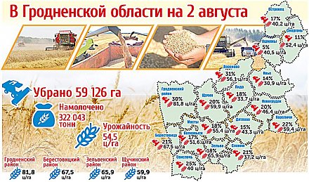 Карта урожайности в Гродненской области на 2 августа (инфографика)