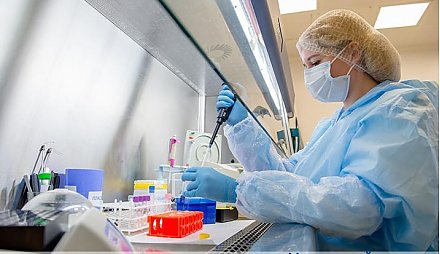Медвестник: белорусская вакцина уходит на доклинические исследования