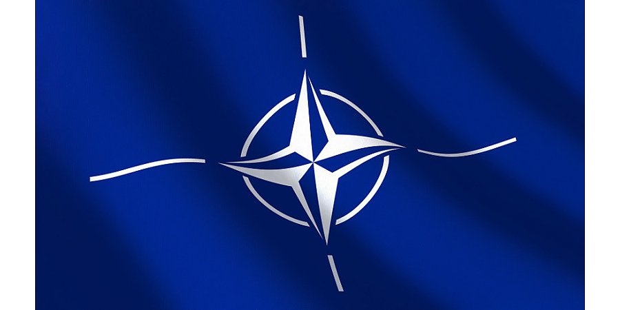 В США назвали роспуск НАТО способом решить конфликт в Украине