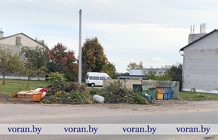«Вернисаж» у мусорных контейнеров в Вороново и Радуни