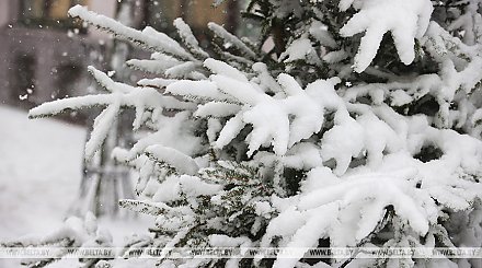 Сильный снег и метель. Синоптики предупреждают об оранжевом уровне опасности на 27 ноября