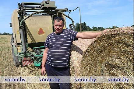 На утро 6 августа в Вороновском районе оставалось убрать 5% площадей. Намолочено более 63 тысяч тонн зерна — это почти на 4 тысячи тонн больше прошлогоднего (без кукурузы, гречихи и проса)