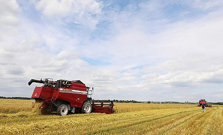 В Гродненской области к уборке зерновых приступили уже восемь районов