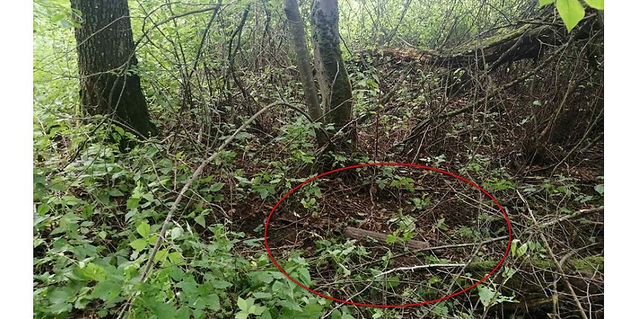 В Гродненском районе мужчина нашел в лесу пулемет