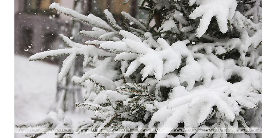 Сильный снег и метель. Синоптики предупреждают об оранжевом уровне опасности на 27 ноября