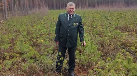 В Беларуси определили лучшего лесничего