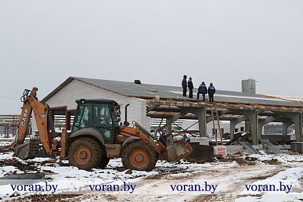 В сельхозпредприятии «Мисевичи» строится современная молочно-товарная ферма на 480 голов дойного стада