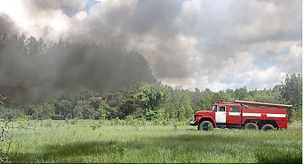Запрет на посещение лесов Гродненской области вводится с 5 августа