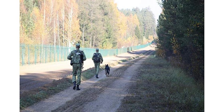 Труп мужчины обнаружен на белорусско-польской границе