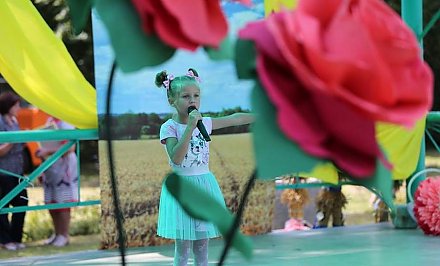 В Желудке пройдет традиционный фестиваль цветов