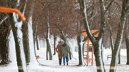 Гололедица и небольшой снег ожидаются в Беларуси 29 декабря