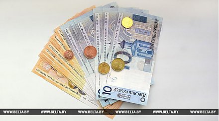 Минимальная заработная плата в Беларуси с 1 января составит Br265