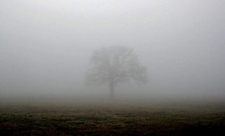 Осторожно, туман! В Беларуси на 18 декабря объявлен оранжевый уровень опасности