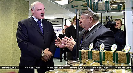 Лукашенко: присуждение госнаград за научные труды не должно носить формального характера