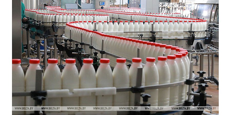 В Беларуси предусмотрено увеличение объемов производства молока