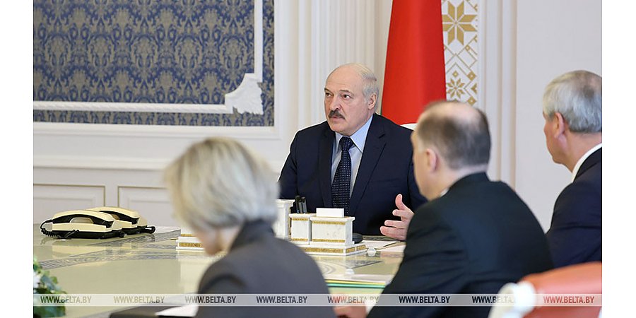 "Чтобы потом не кувыркаться и не жалеть" - Лукашенко ждет от разработчиков серьезнейшего закона о партиях