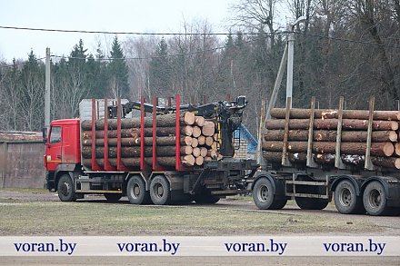 Время сложностей и возможностей. Как организовано производство на деревообрабатывающем участке в д. Бастуны Вороновского района