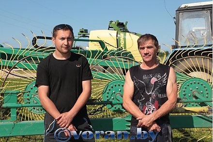 Зеленый конвейер в «Вороновском» действует безотказно