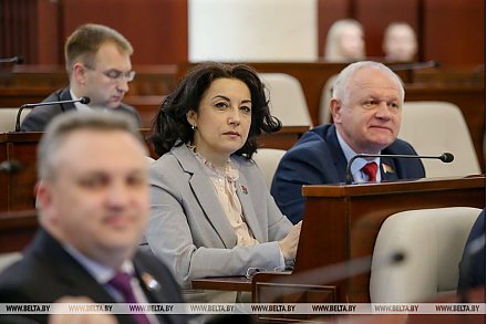 На весенней сессии депутатам предстоит назначить дату выборов Президента - Андрейченко