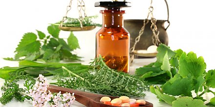 Витебская и Гродненская область производят 98% лекарственного и пряно-ароматического сырья в стране