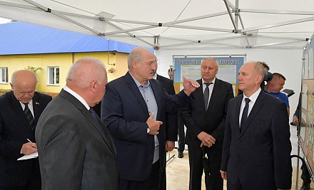 Александр Лукашенко ориентирует регионы на большую самостоятельность в заготовке кормов