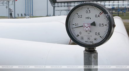 Стоимость нефти для белорусских НПЗ с учетом налогового маневра вырастет более чем на $20 за тонну - "Белнефтехим"