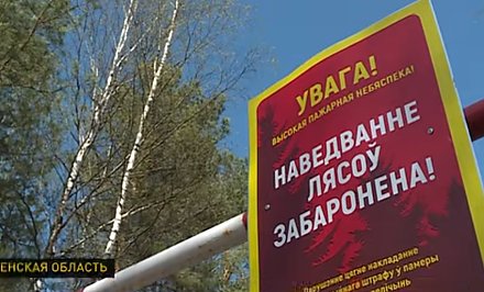 Пожароопасная ситуация в Беларуси. Любой окурок может привести к бедствию (+видео)