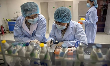 В Китае открыли моноклональное антитело, нейтрализующее все штаммы коронавируса