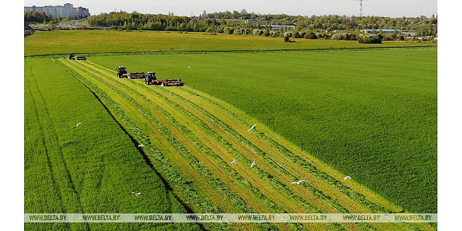 Второй укос трав в Беларуси проведен на 44,7 тыс. га площадей
