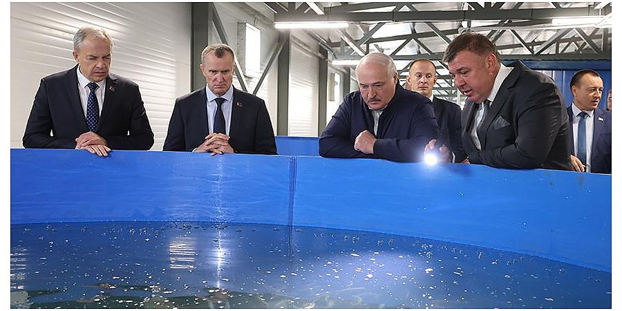 Не медлить и не бояться. Почему Александр Лукашенко уверен в будущем белорусской рыбной отрасли
