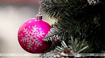 В Гродненской области пройдет около 50 новогодних ярмарок: первые откроются 7 декабря