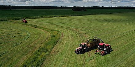 Второй укос трав в Беларуси проведен более чем на 83% площадей
