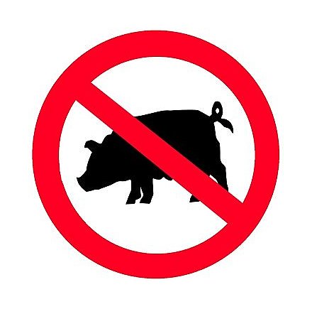 Содержать свиней ближе 5-ти километров от комплексов запрещено
