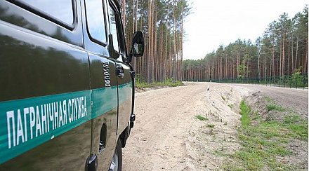 Белорусские пограничники за трое суток задержали около 30 нелегальных мигрантов
