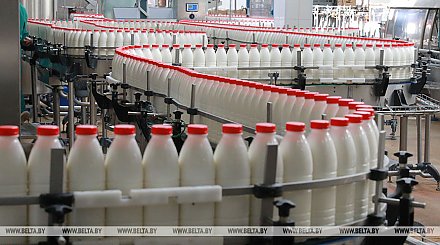 В Беларуси предусмотрено увеличение объемов производства молока