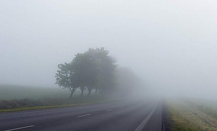Синоптики предупреждают белорусов о гололедице и густых туманах