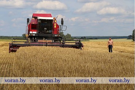 Поздравление Президента Республики Беларусь Александра Лукашенко работникам сельского хозяйства, организаций агропромышленного комплекса и фермерских хозяйств