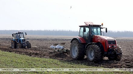 Ранние яровые посеяли в Беларуси более чем на 35% площадей