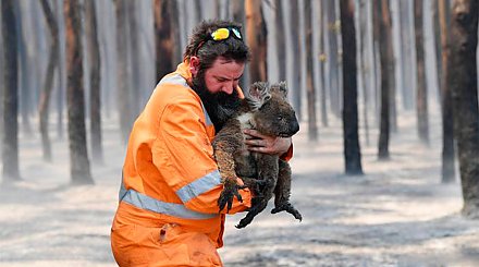Более 1 млрд животных погибли в результате лесных пожаров в Австралии