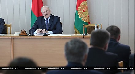 Никаких указов, чтобы работать нормально, не надо - Лукашенко