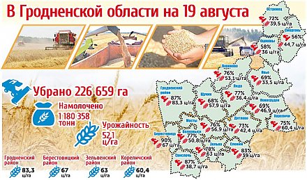 Карта урожайности в Гродненской области на 19 августа (инфографика)