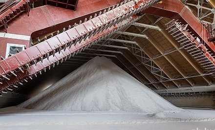 Индия планирует приобрести у Беларуси 1 млн т калийных удобрений в обход западных санкций