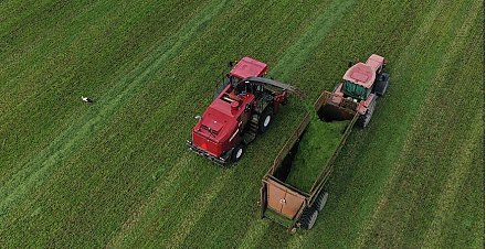 Минсельхозпрод: планируется сократить до минимума отставание по заготовке травяных кормов