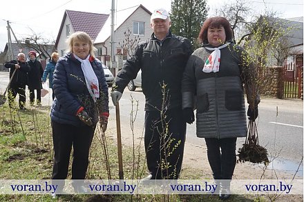 Вороновщина поддержала акцию  «Мой край — цветущий сад»