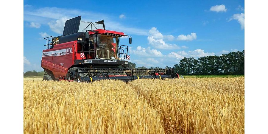 В Беларуси собрано 94% зерновых колосовых, зернобобовых, рапса