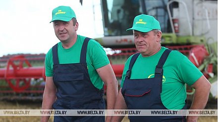 Свыше 40 экипажей комбайнеров в Гродненской области преодолели тысячетонный рубеж по намолоту зерна