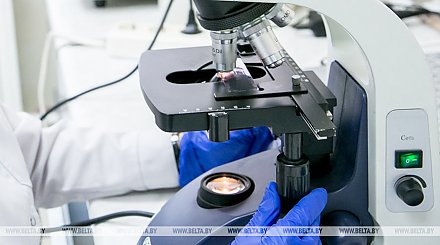 Правительство утвердило перечень госпрограмм научных исследований до 2025 года